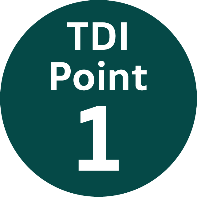 TDI Point 1