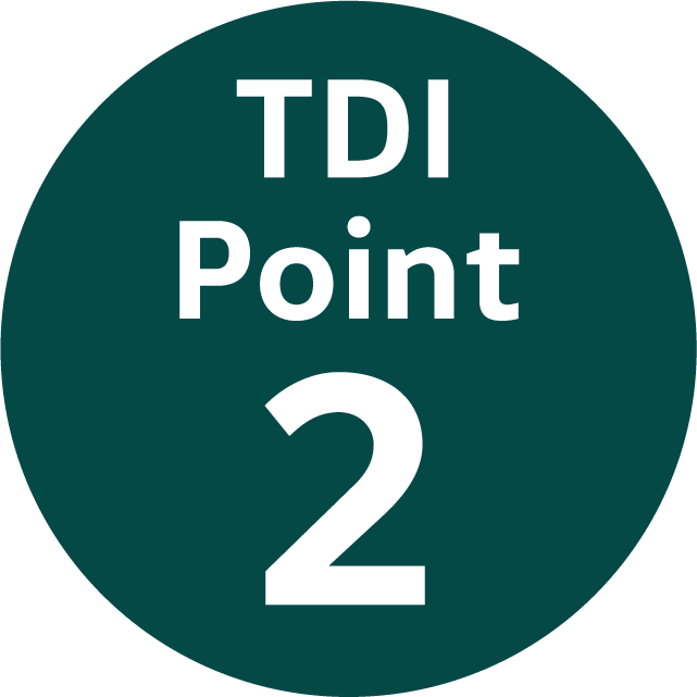 TDI Point 2