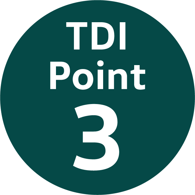 TDI Point 3