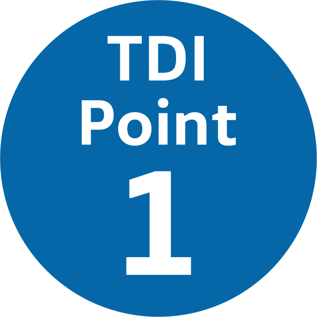 TDI Point 1